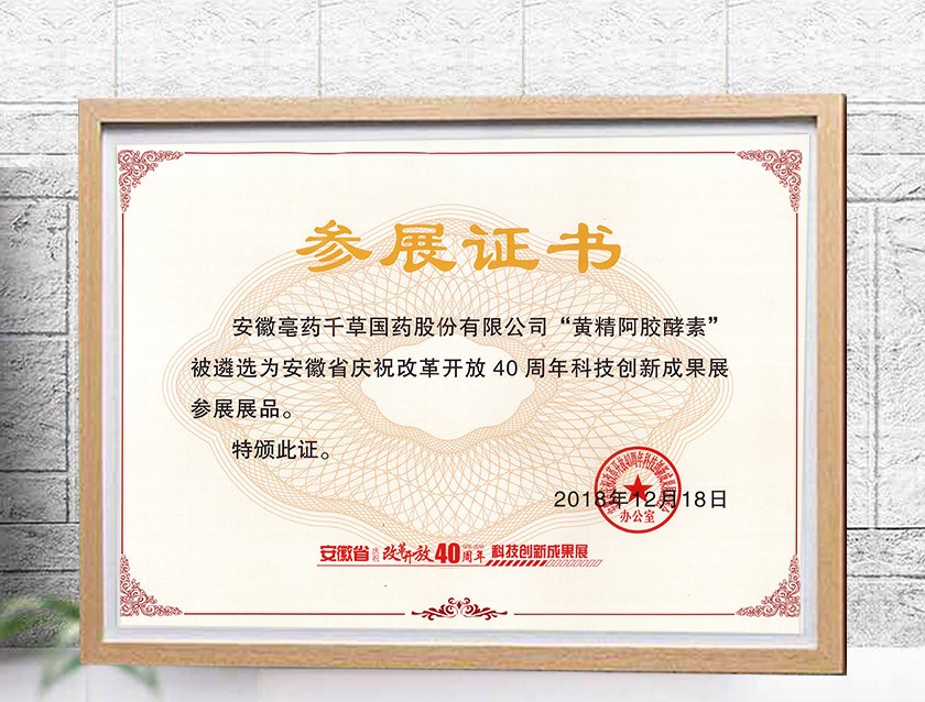 參展證書(shū)