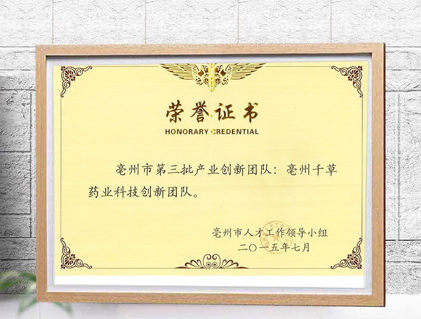 亳州市第三批產(chǎn)業(yè)創(chuàng)新團(tuán)隊(duì)